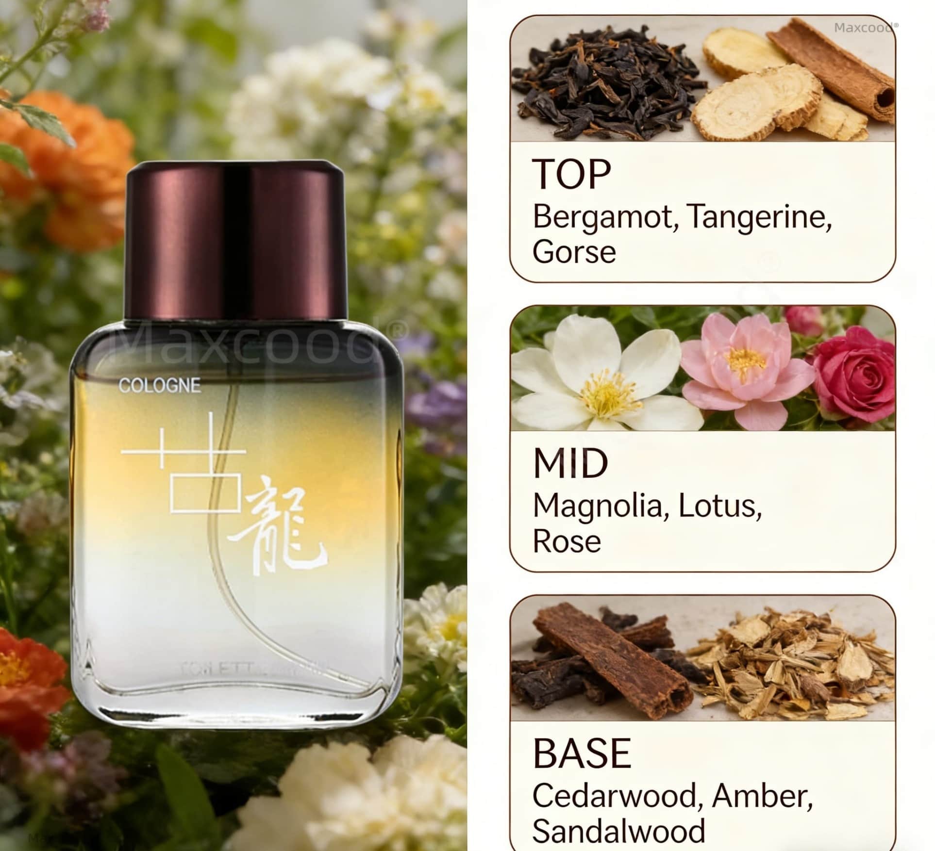Парфюм Maxcood A Citrus Men Co – обзор и цена Perfume High Fragrance