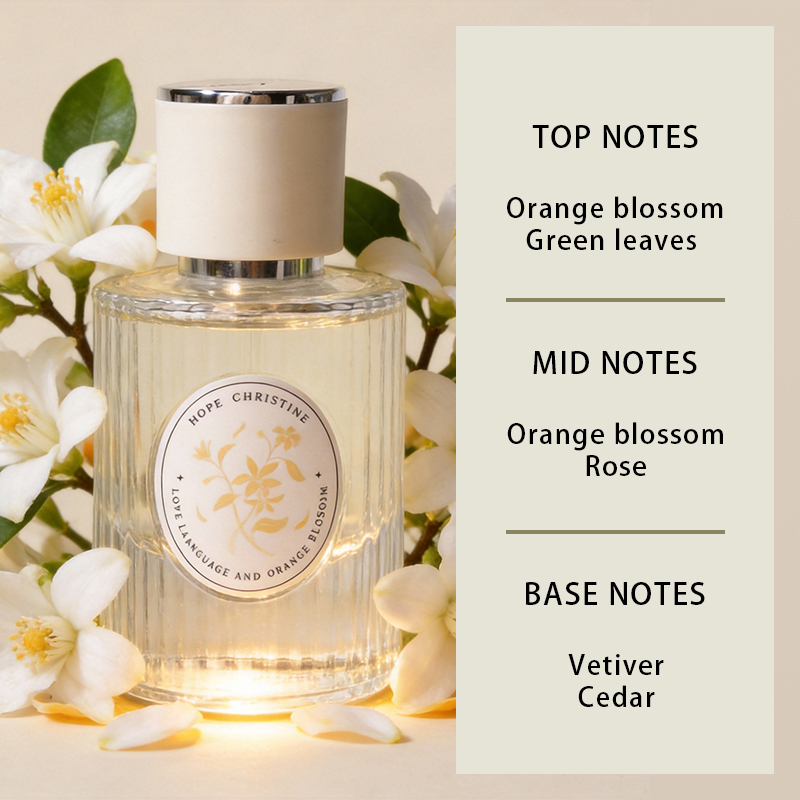 Аромат HOPE CHRISTINE Brand Or – обзор и цена Perfume Fragrance Notes